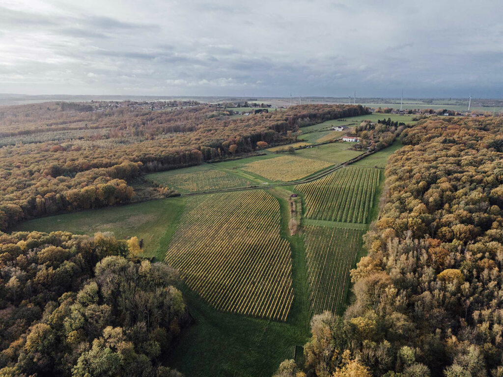 Vue du Domaine Vins des Cinq