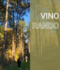 Vino Rando