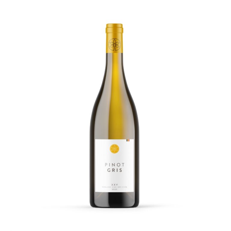 Pinot Gris 2025 @Domaine Vins des Cin